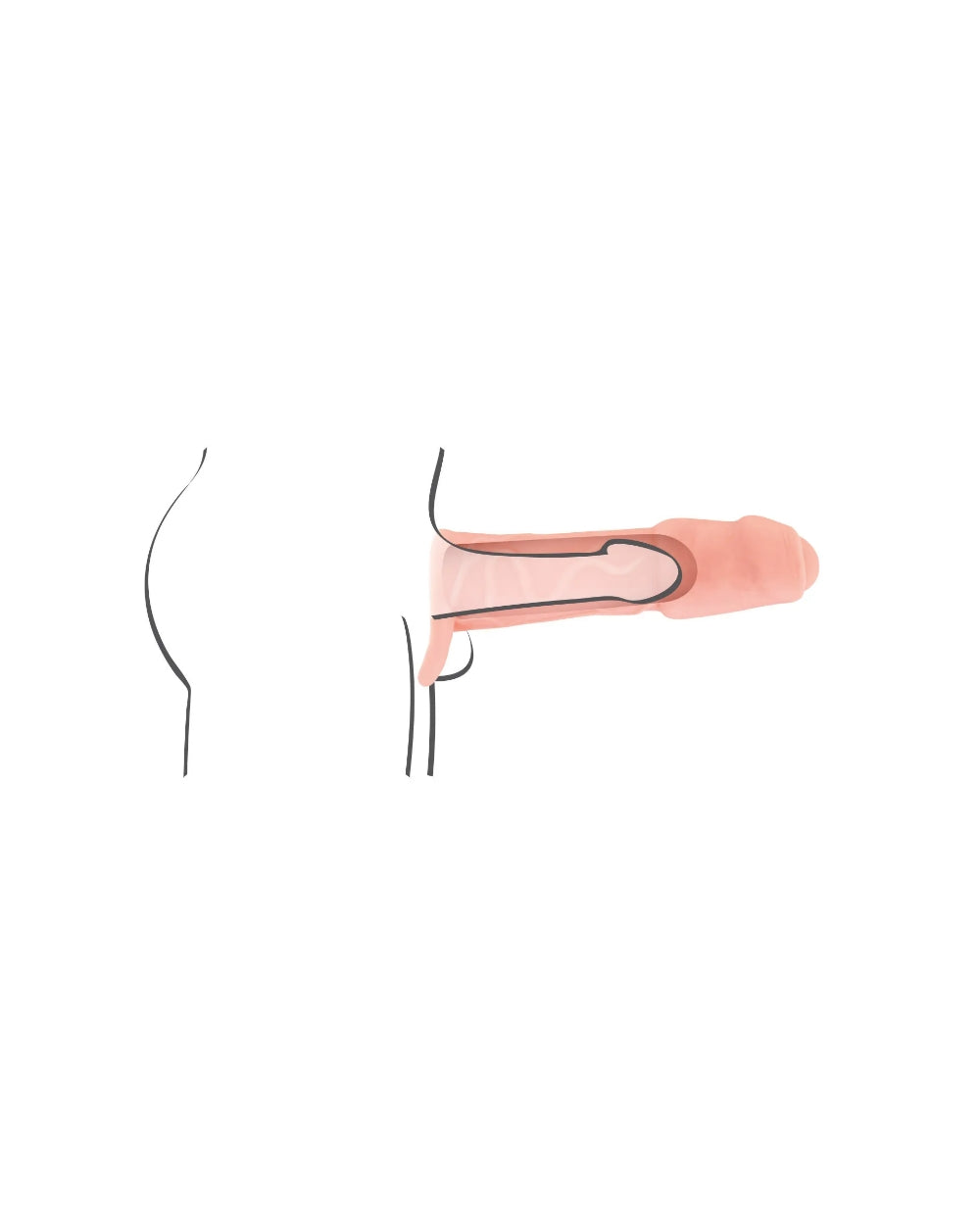Dicky gaine de pénis 16,5cm Real Body