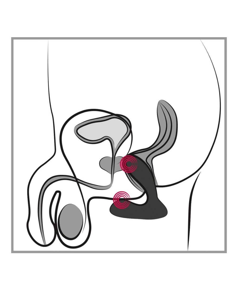 Vick Neo stimulateur prostate vibrant connecté Svakom - Love Store