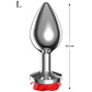 Bijou anal métal rose rouge Afterdark - Love Store Paris