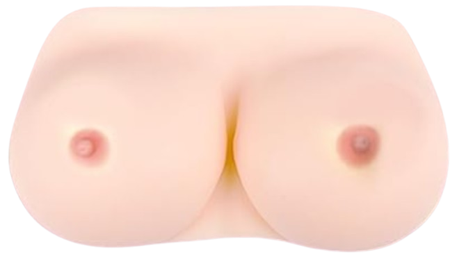 Seins réalistes